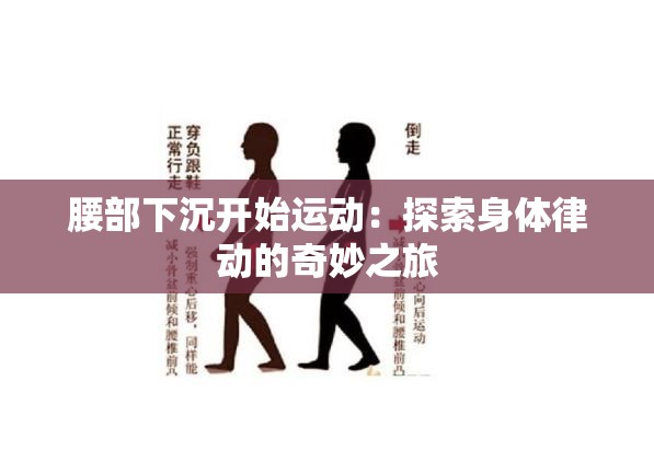 腰部下沉開(kāi)始運(yùn)動(dòng)：探索身體律動(dòng)的奇妙之旅