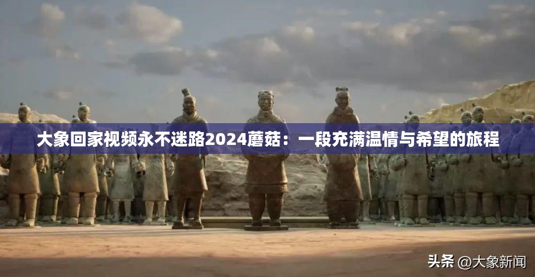 大象回家視頻永不迷路2024蘑菇：一段充滿(mǎn)溫情與希望的旅程