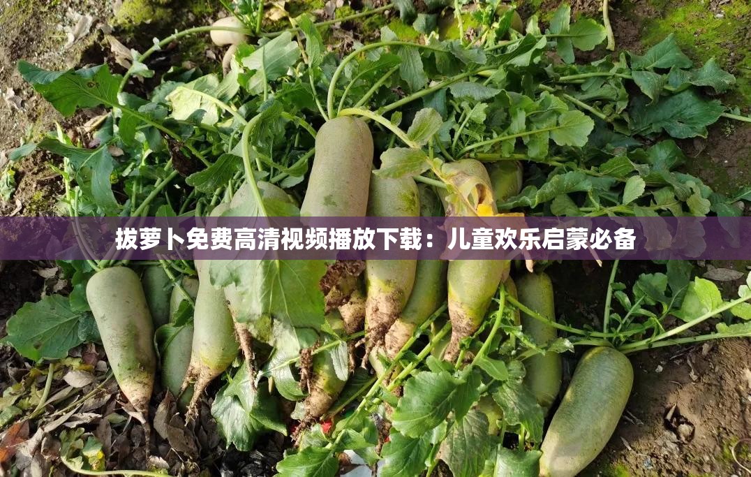 拔蘿卜免費(fèi)高清視頻播放下載：兒童歡樂(lè)啟蒙必備
