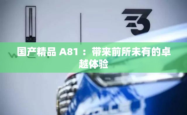 國產(chǎn)精品 A81 ：帶來前所未有的卓越體驗