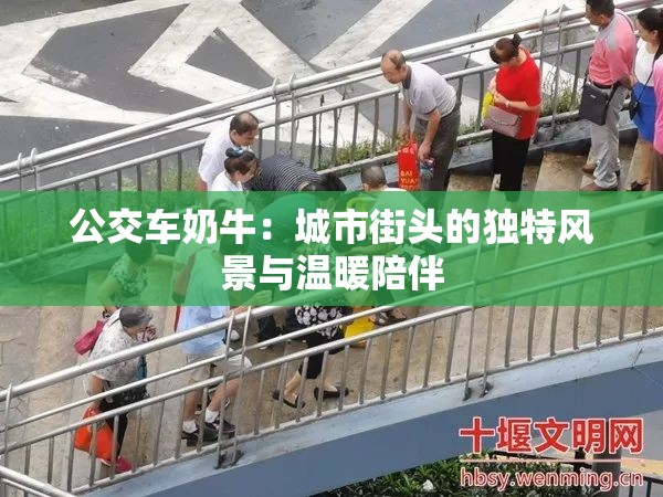 公交車奶牛：城市街頭的獨(dú)特風(fēng)景與溫暖陪伴