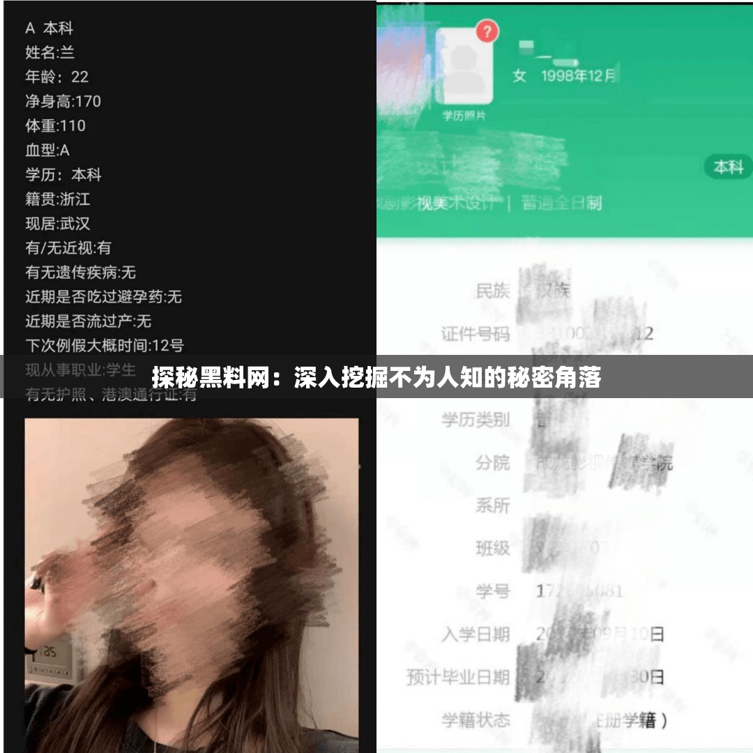 探秘黑料網(wǎng)：深入挖掘不為人知的秘密角落