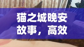 貓之城晚安故事，高效陣容搭配策略、精細資源管理與價值最大化指南