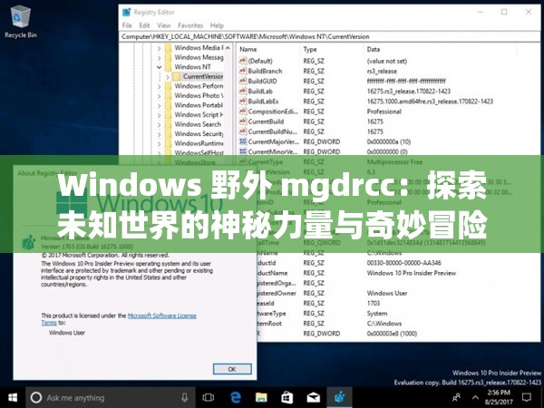 Windows 野外 mgdrcc：探索未知世界的神秘力量與奇妙冒險