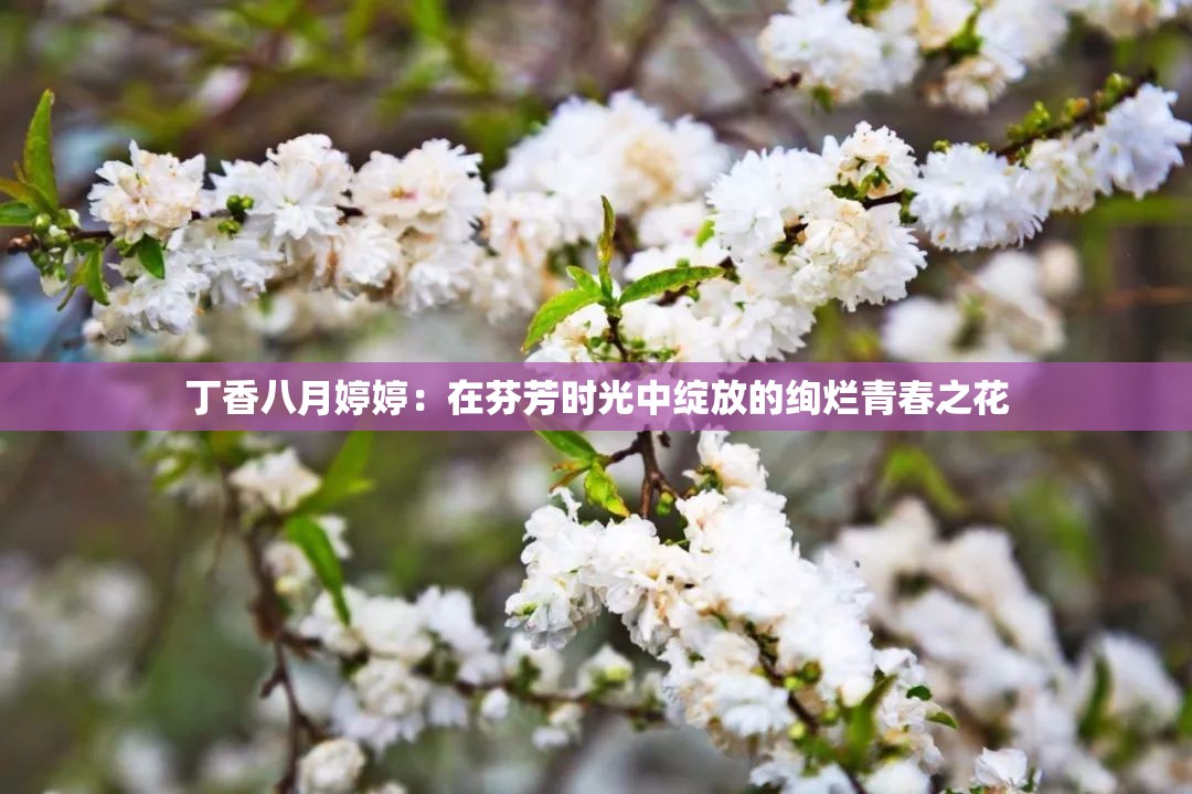 丁香八月婷婷：在芬芳時(shí)光中綻放的絢爛青春之花