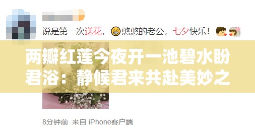 兩瓣紅蓮今夜開(kāi)一池碧水盼君浴：靜候君來(lái)共赴美妙之約
