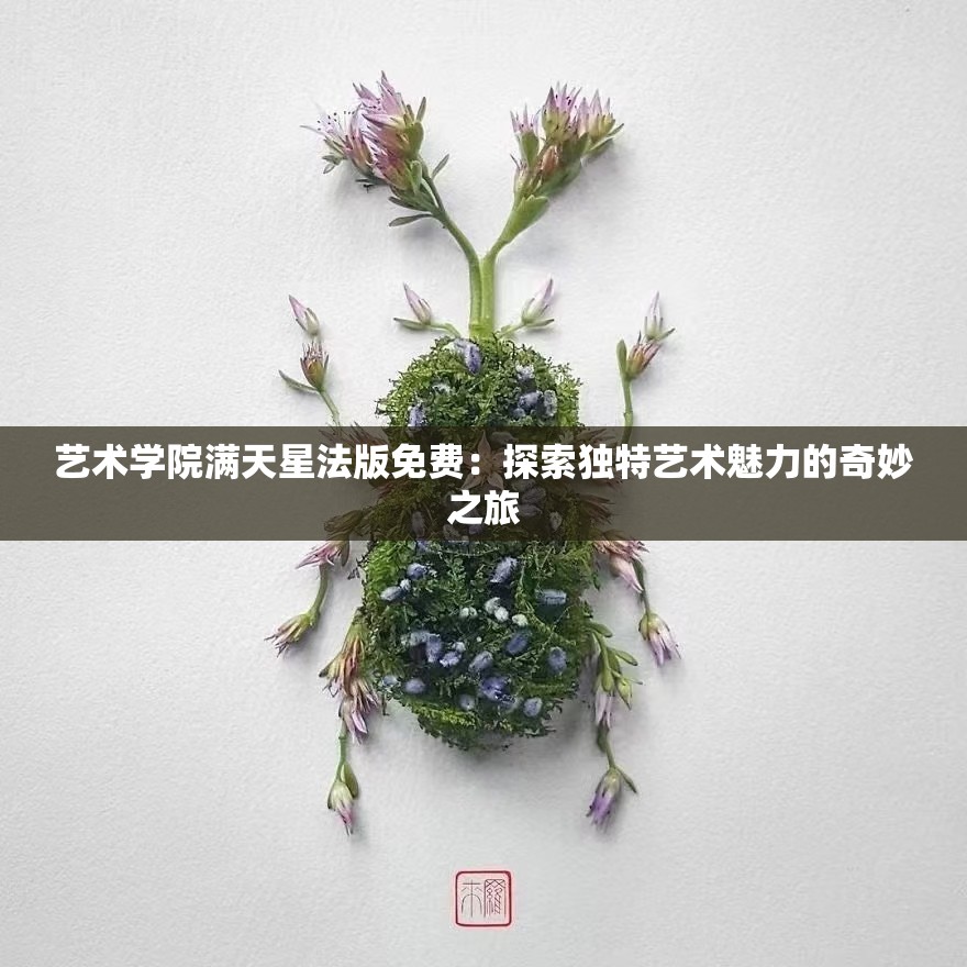 藝術(shù)學(xué)院滿天星法版免費(fèi)：探索獨(dú)特藝術(shù)魅力的奇妙之旅