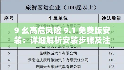 9 幺高危風(fēng)險 9.1 免費版安裝：詳細(xì)解析安裝步驟及注意事項
