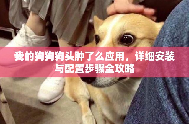 我的狗狗狗頭腫了么應(yīng)用，詳細安裝與配置步驟全攻略