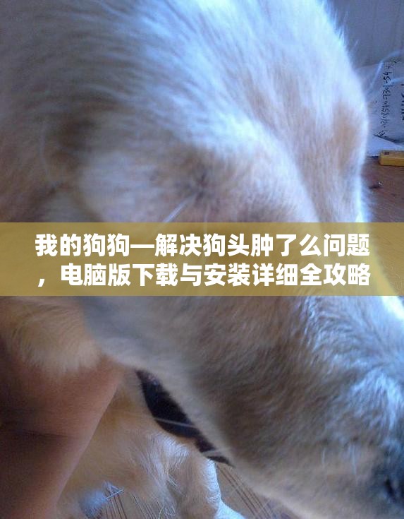 我的狗狗—解決狗頭腫了么問題，電腦版下載與安裝詳細全攻略