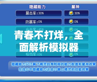 青春不打烊，全面解析模擬器安裝與配置實(shí)用全攻略