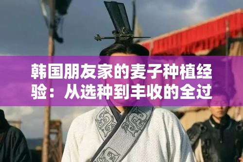 韓國朋友家的麥子種植經(jīng)驗(yàn)：從選種到豐收的全過程分享