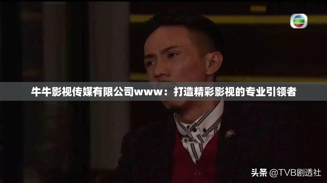 牛牛影視傳媒有限公司www：打造精彩影視的專業(yè)引領者