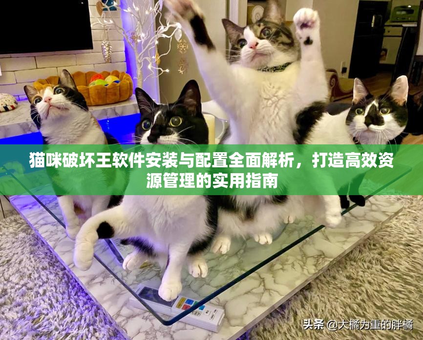 貓咪破壞王軟件安裝與配置全面解析，打造高效資源管理的實用指南