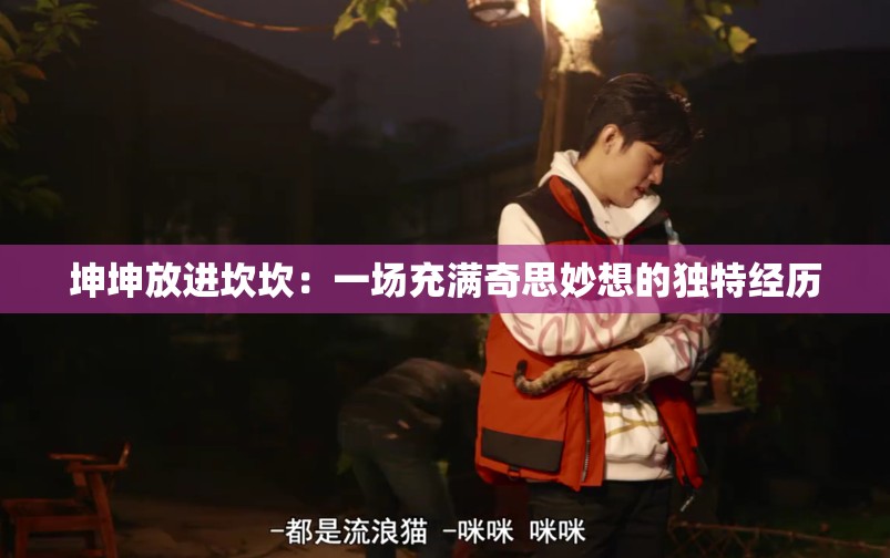 坤坤放進坎坎：一場充滿奇思妙想的獨特經(jīng)歷