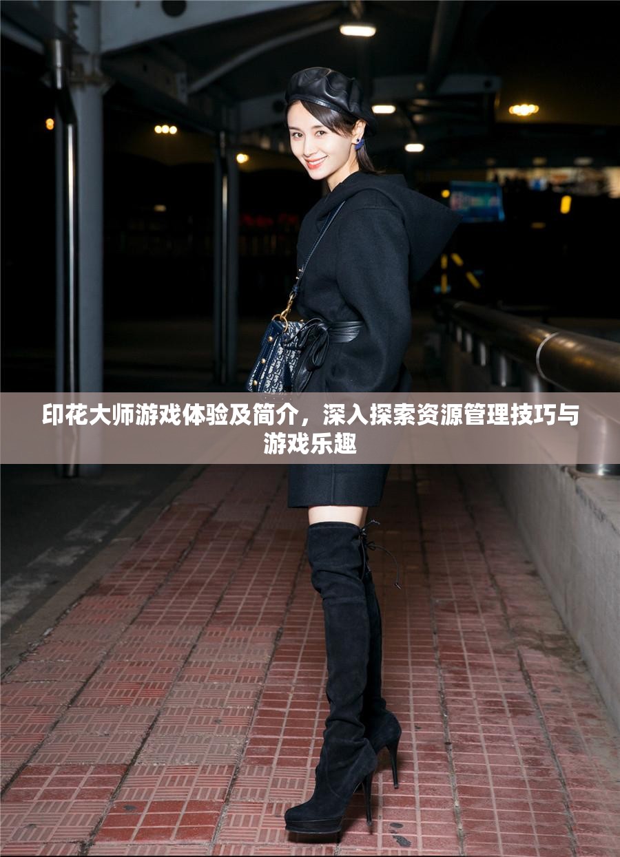 印花大師游戲體驗及簡介，深入探索資源管理技巧與游戲樂趣