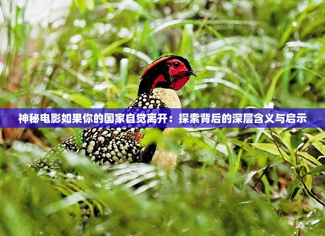 神秘電影如果你的國(guó)家自覺(jué)離開(kāi)：探索背后的深層含義與啟示