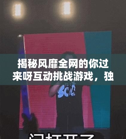 揭秘風(fēng)靡全網(wǎng)的你過(guò)來(lái)呀互動(dòng)挑戰(zhàn)游戲，獨(dú)特魅力何在，竟能吸引無(wú)數(shù)玩家參與