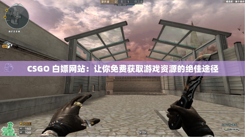 CSGO 白嫖網(wǎng)站：讓你免費獲取游戲資源的絕佳途徑