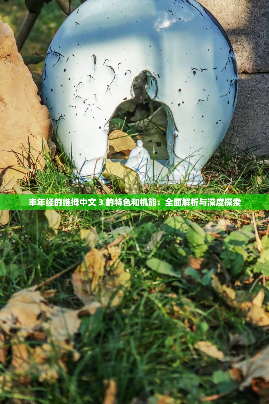 豐年經(jīng)的繼拇中文 3 的特色和機能：全面解析與深度探索
