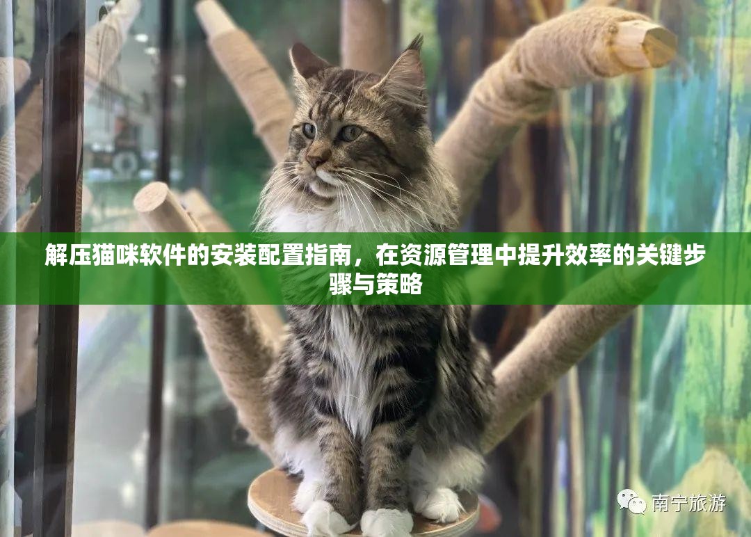 解壓貓咪軟件的安裝配置指南，在資源管理中提升效率的關(guān)鍵步驟與策略