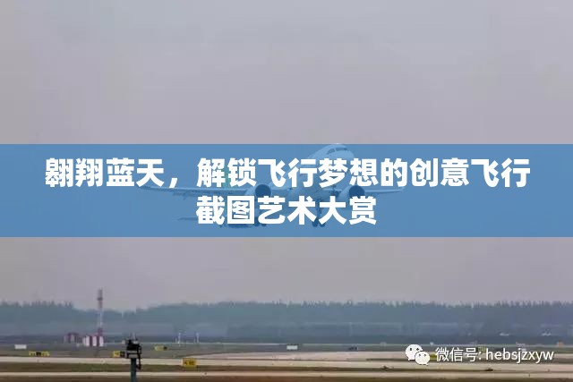 翱翔藍(lán)天，解鎖飛行夢(mèng)想的創(chuàng)意飛行截圖藝術(shù)大賞