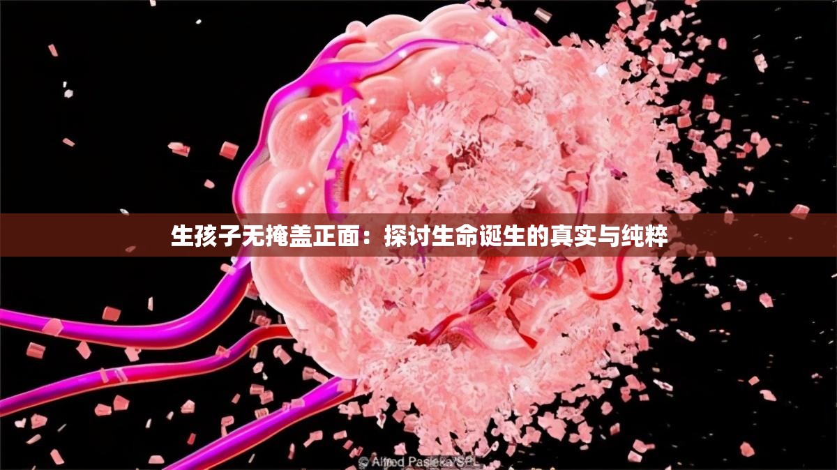 生孩子無(wú)掩蓋正面：探討生命誕生的真實(shí)與純粹