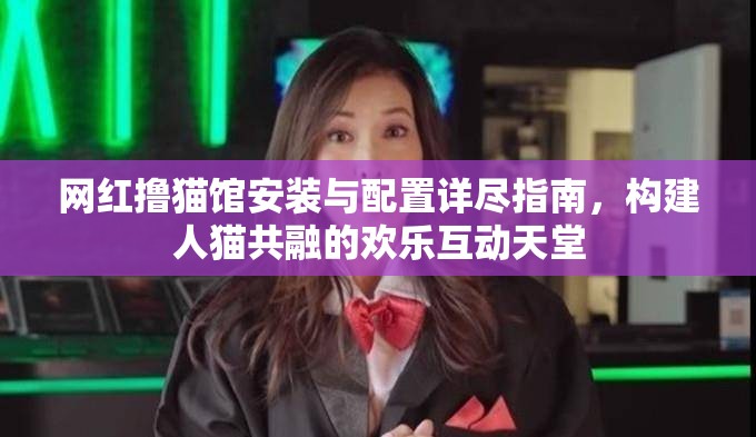 網(wǎng)紅擼貓館安裝與配置詳盡指南，構(gòu)建人貓共融的歡樂互動天堂