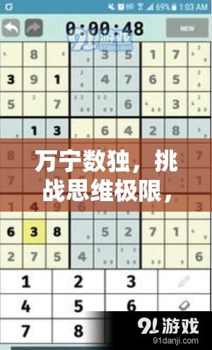 萬寧數(shù)獨，挑戰(zhàn)思維極限，解鎖智慧與娛樂并存的獨特樂趣