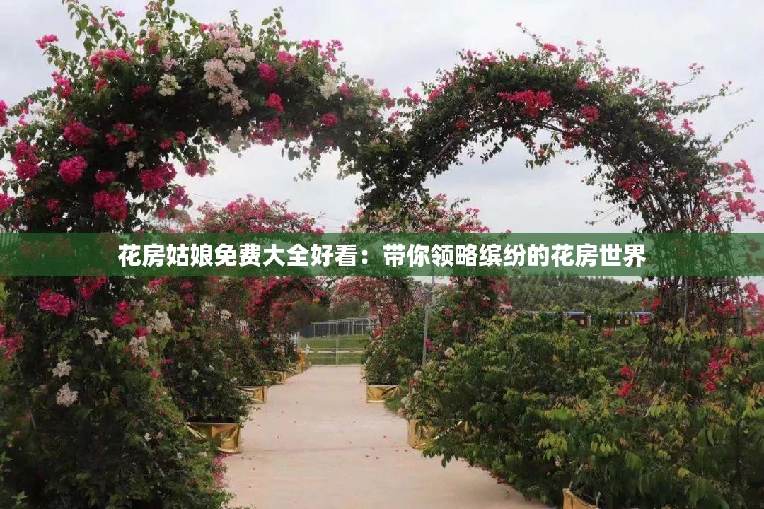 花房姑娘免費大全好看：帶你領(lǐng)略繽紛的花房世界