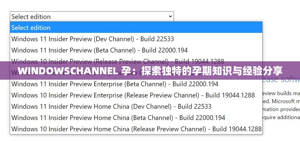 WINDOWSCHANNEL 孕：探索獨特的孕期知識與經驗分享