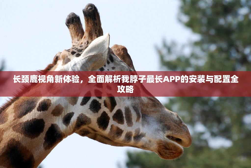 長(zhǎng)頸鹿視角新體驗(yàn)，全面解析我脖子最長(zhǎng)APP的安裝與配置全攻略
