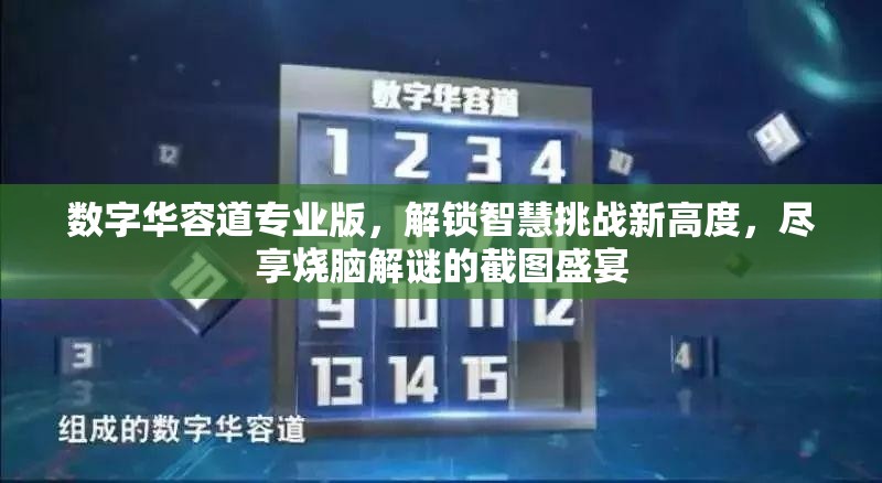 數(shù)字華容道專業(yè)版，解鎖智慧挑戰(zhàn)新高度，盡享燒腦解謎的截圖盛宴