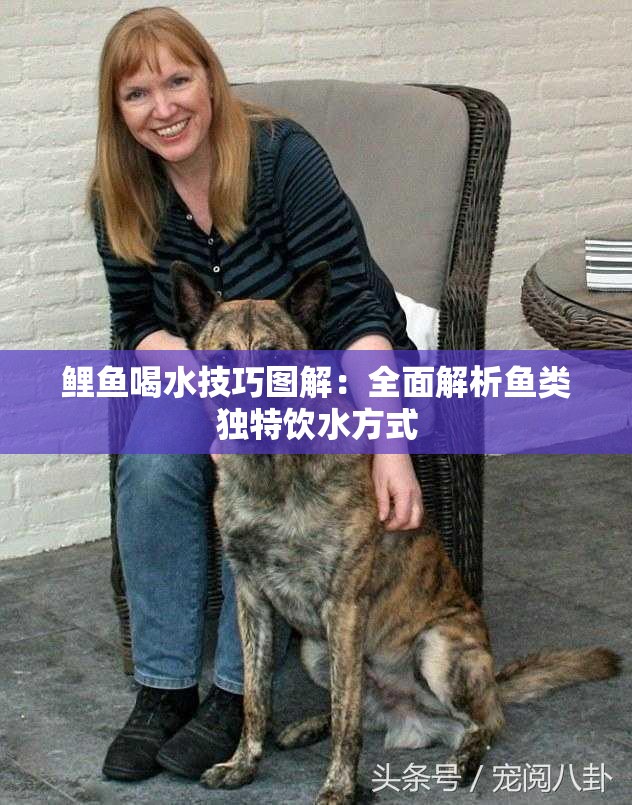 鯉魚喝水技巧圖解：全面解析魚類獨特飲水方式