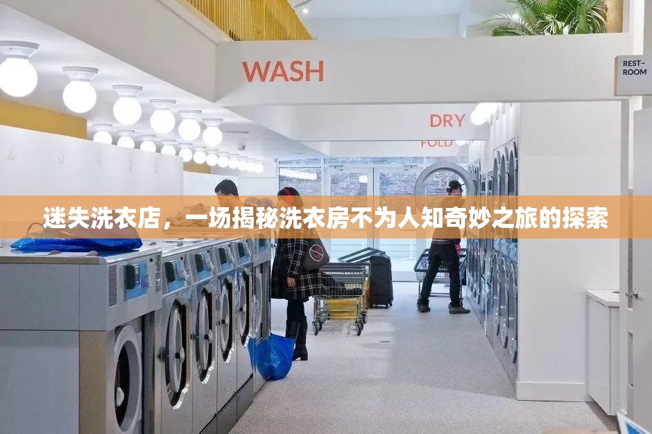 迷失洗衣店，一場揭秘洗衣房不為人知奇妙之旅的探索