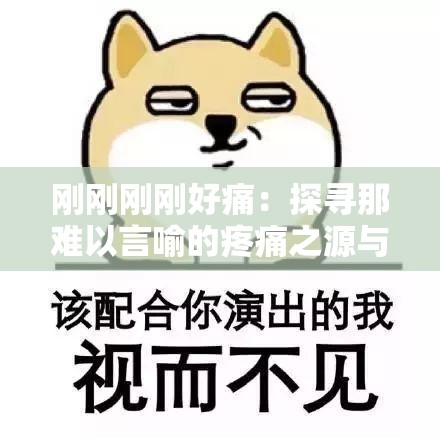 剛剛剛剛好痛：探尋那難以言喻的疼痛之源與應(yīng)對之策