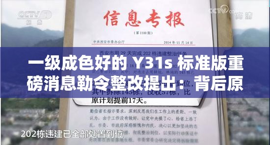 一級(jí)成色好的 Y31s 標(biāo)準(zhǔn)版重磅消息勒令整改提出：背后原因引人深思