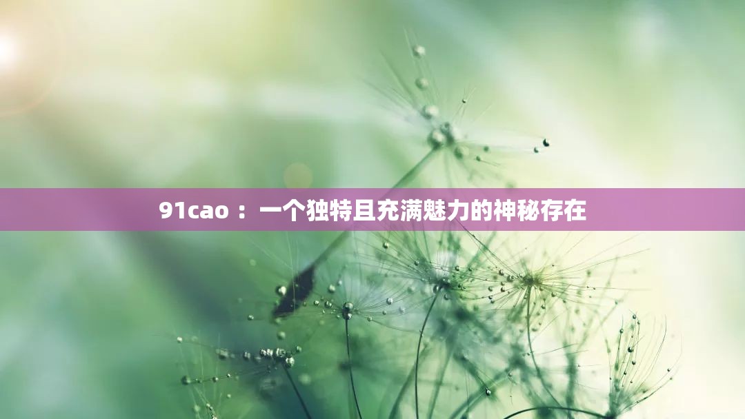 91cao ：一個(gè)獨(dú)特且充滿魅力的神秘存在