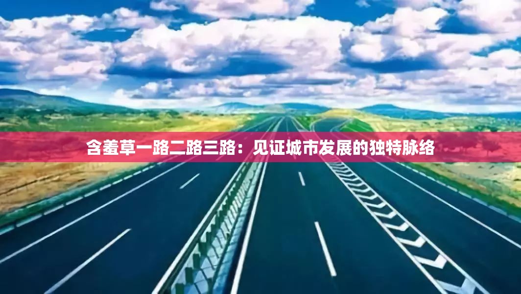 含羞草一路二路三路：見證城市發(fā)展的獨特脈絡(luò)