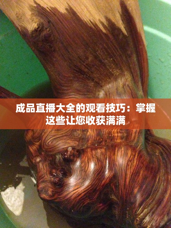 成品直播大全的觀看技巧：掌握這些讓您收獲滿(mǎn)滿(mǎn)