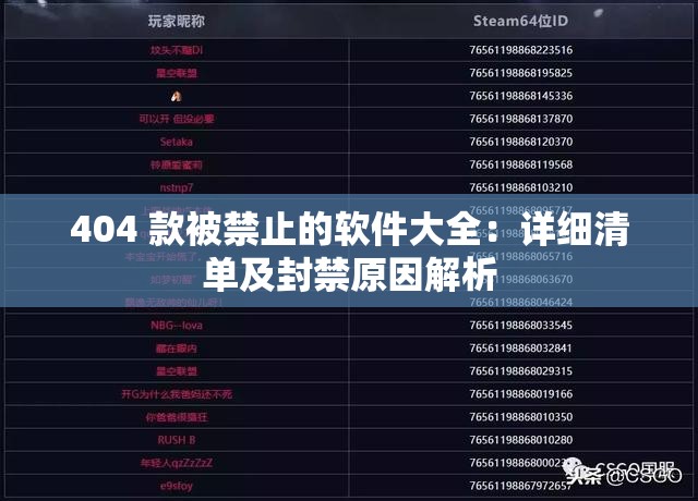 404 款被禁止的軟件大全：詳細(xì)清單及封禁原因解析