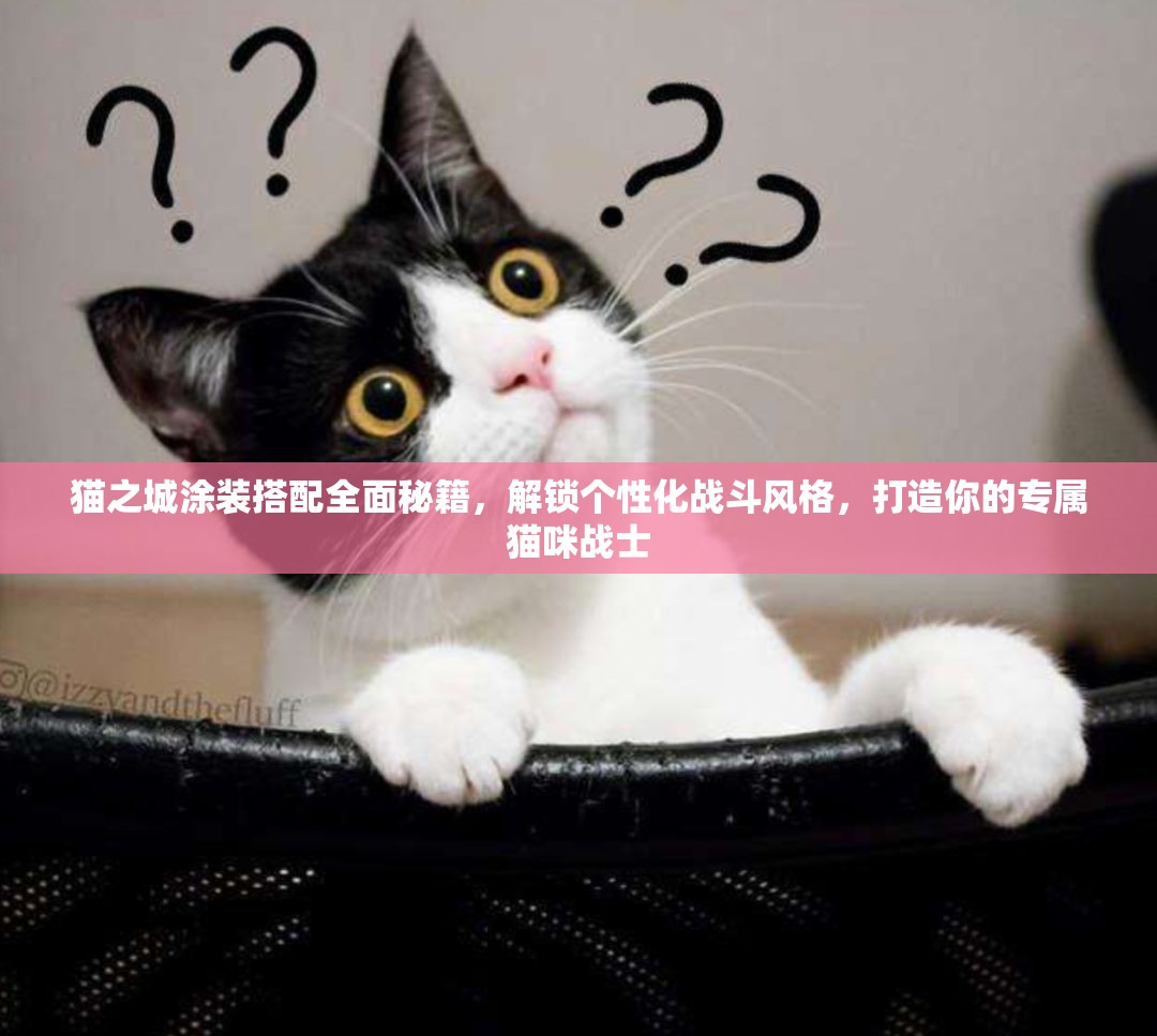 貓之城涂裝搭配全面秘籍，解鎖個(gè)性化戰(zhàn)斗風(fēng)格，打造你的專屬貓咪戰(zhàn)士