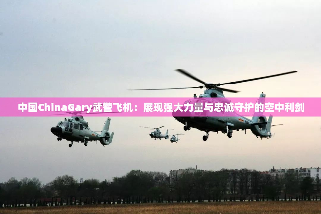 中國(guó)ChinaGary武警飛機(jī)：展現(xiàn)強(qiáng)大力量與忠誠(chéng)守護(hù)的空中利劍