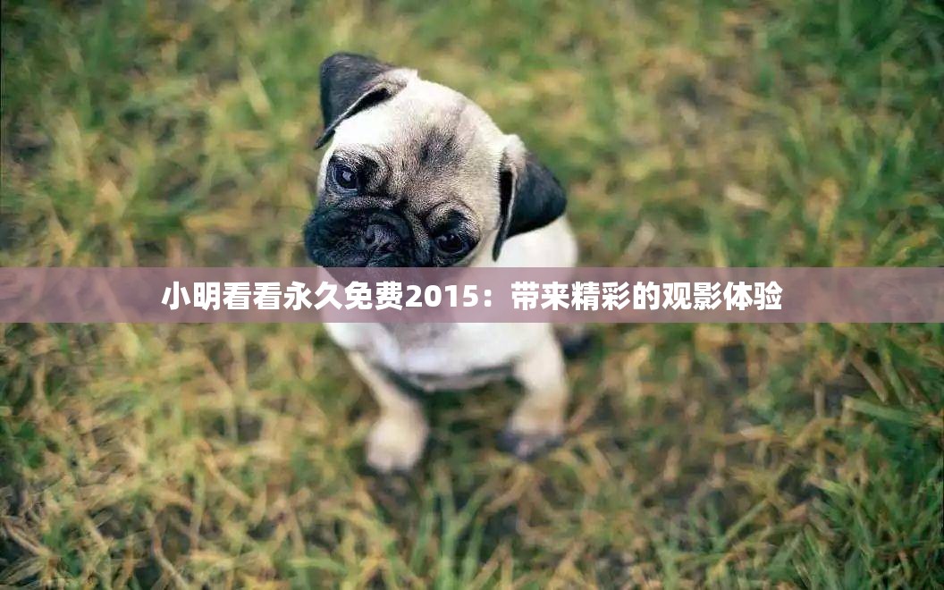 小明看看永久免費2015：帶來精彩的觀影體驗