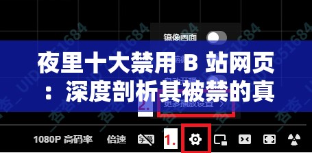 夜里十大禁用 B 站網(wǎng)頁(yè)：深度剖析其被禁的真正原因