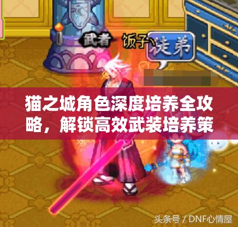 貓之城角色深度培養(yǎng)全攻略，解鎖高效武裝培養(yǎng)策略，邁向全新境界
