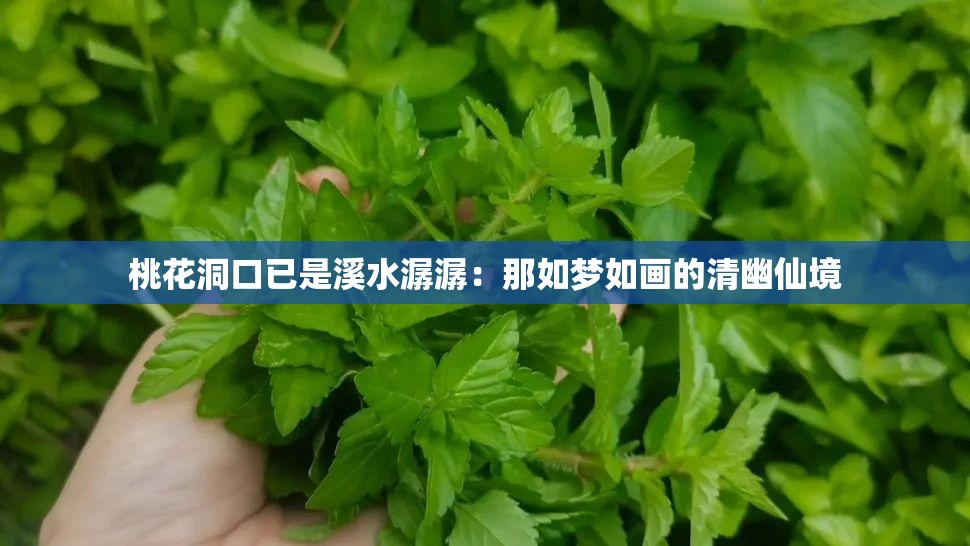 桃花洞口已是溪水潺潺：那如夢(mèng)如畫的清幽仙境