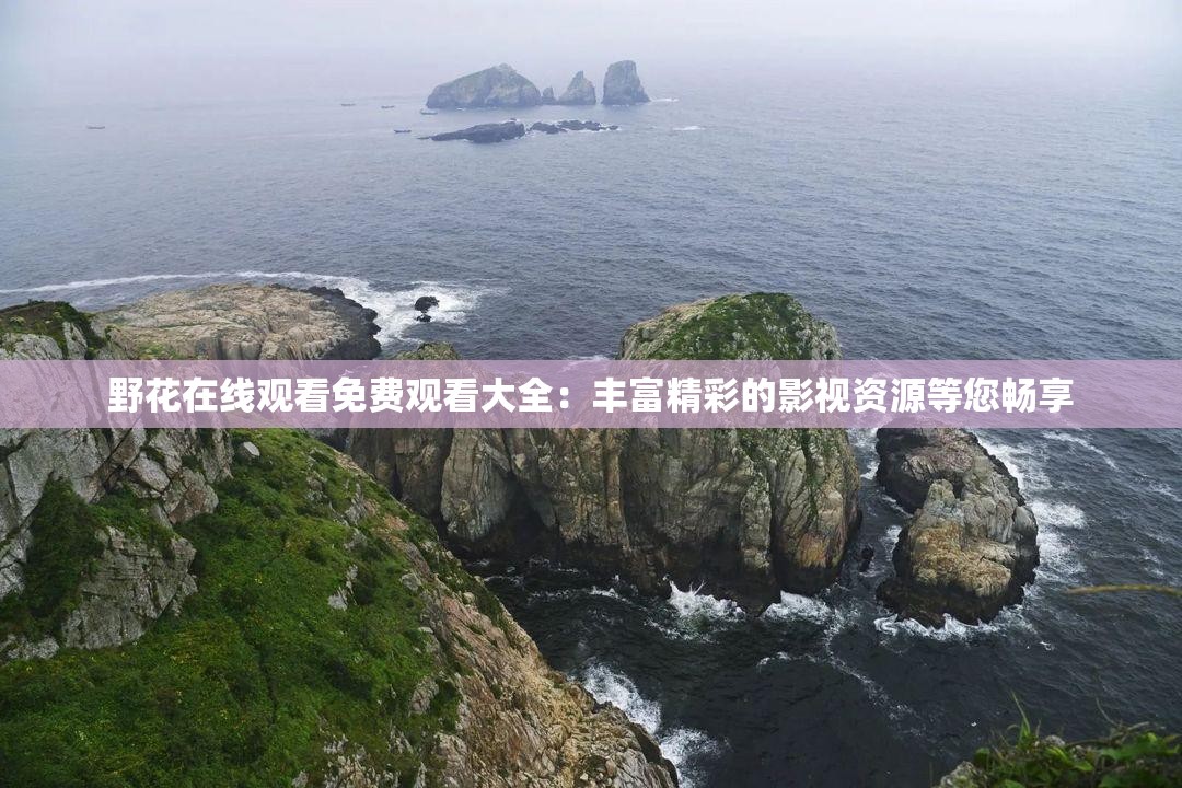 野花在線觀看免費(fèi)觀看大全：豐富精彩的影視資源等您暢享