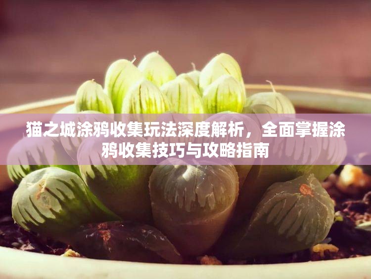貓之城涂鴉收集玩法深度解析，全面掌握涂鴉收集技巧與攻略指南