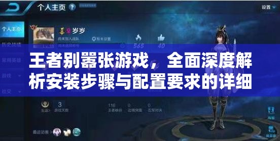 王者別囂張游戲，全面深度解析安裝步驟與配置要求的詳細(xì)說明